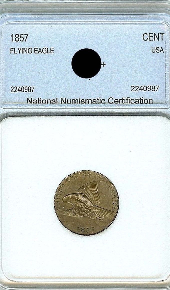 What-Do-You-Think-About-This-NNC-Graded-1857-Flying-Eagle-Cent?